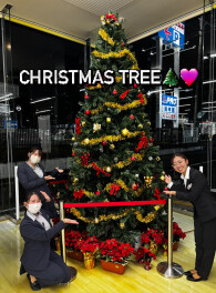 クリスマスツリー出しました！